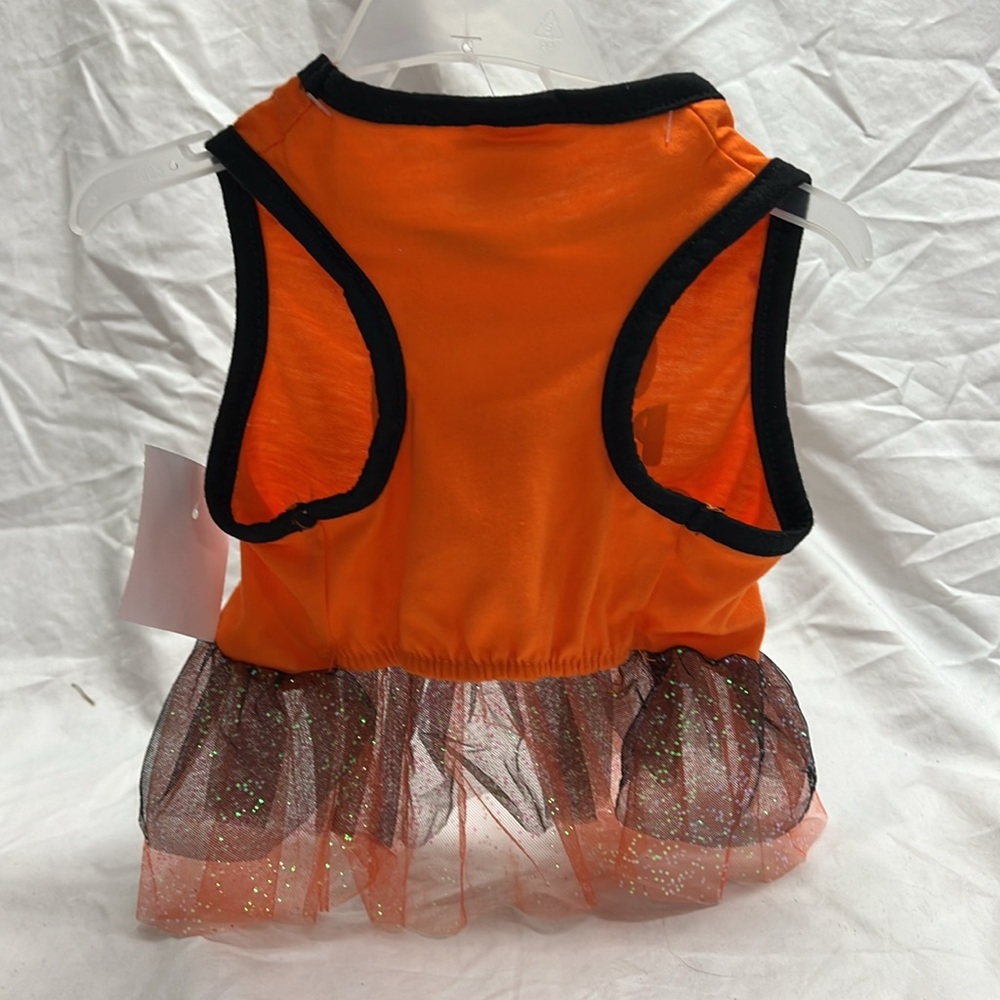 Cutest pumpkin in the patch outfit - Picture 3 of 6